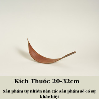 Lá Ca Cao Khô Chụp Ảnh Sản Phẩm