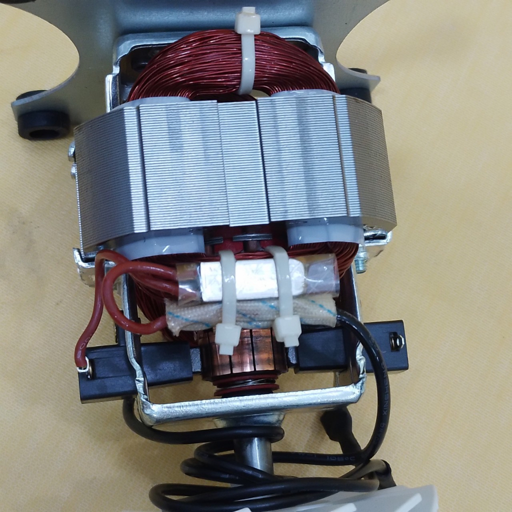 Động cơ Motor máy xay sinh tố công nghiệp