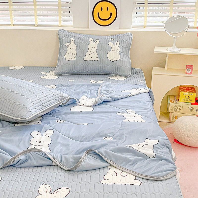 Set chiếu điều hoà latex 5D túi rút IGUN BEDDING kèm chăn thun lạnh ( chun cài 4 góc )