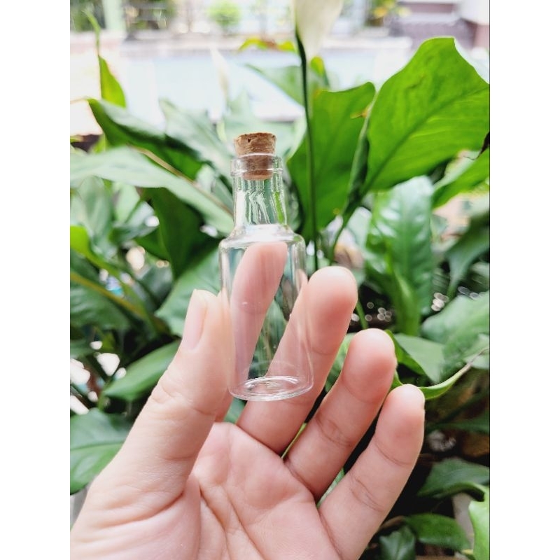 Bộ 5 Hủ / Chai Đựng Gia vị Lớn cho Nấu Ăn Mini