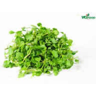XÀ LÁCH XOONG 300g (shop có: thịt, gà + cá tôm mực + trái cây v.v)