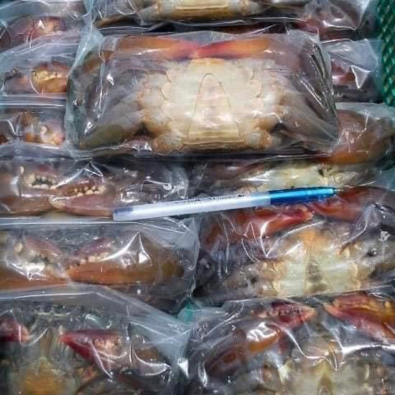 CUA LỘT MYANMAR SIZE LỚN 8-10 CON. GIÁ SỈ