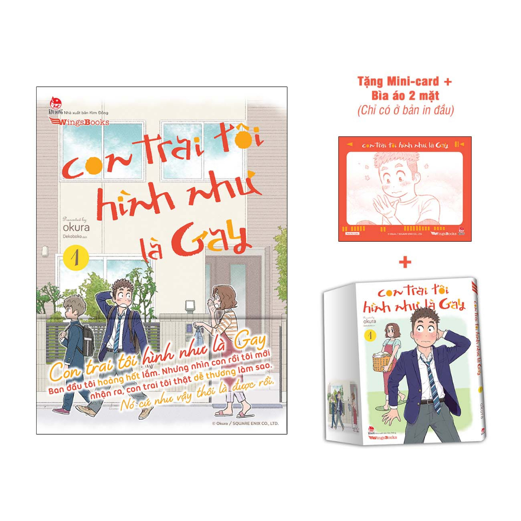 Truyện - Con Trai Tôi Hình Như Là Gay