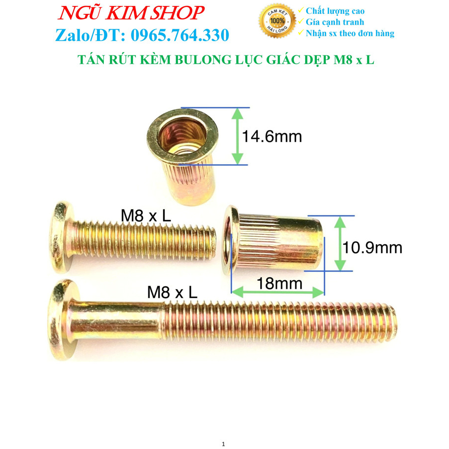 TÁN RÚT KÈM BULONG LỤC GIÁC DẸP M8 x L