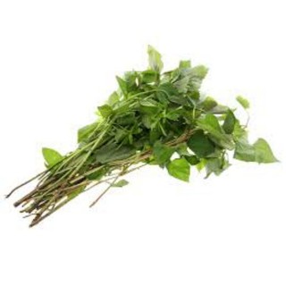 Rau thơm 200g (shop có: thịt, gà + cá tôm mực + trái cây v.v)