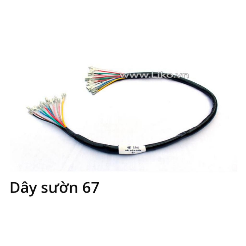 Dây điện Sườn gắn xe 67-78-81-82-Win 100