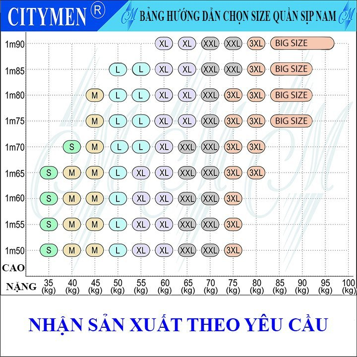 Đồ Lót Nam vải cotton tam giác co giãn 2 chiều lưng Thái hiệu CITYMEN, quần lót - LMSP-THAI2C