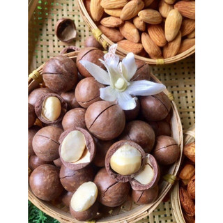 HẠT MẮC CA (size A, 500gr) LÂM ĐỒNG CAO CẤP