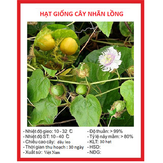 Hạt giống lạc tiên - Gói 30 hạt