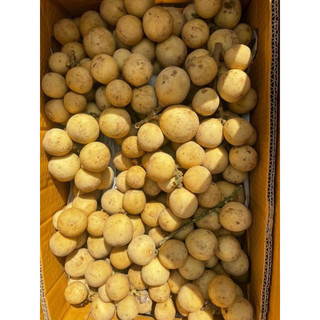 Bòn bon thái số 4 1kí