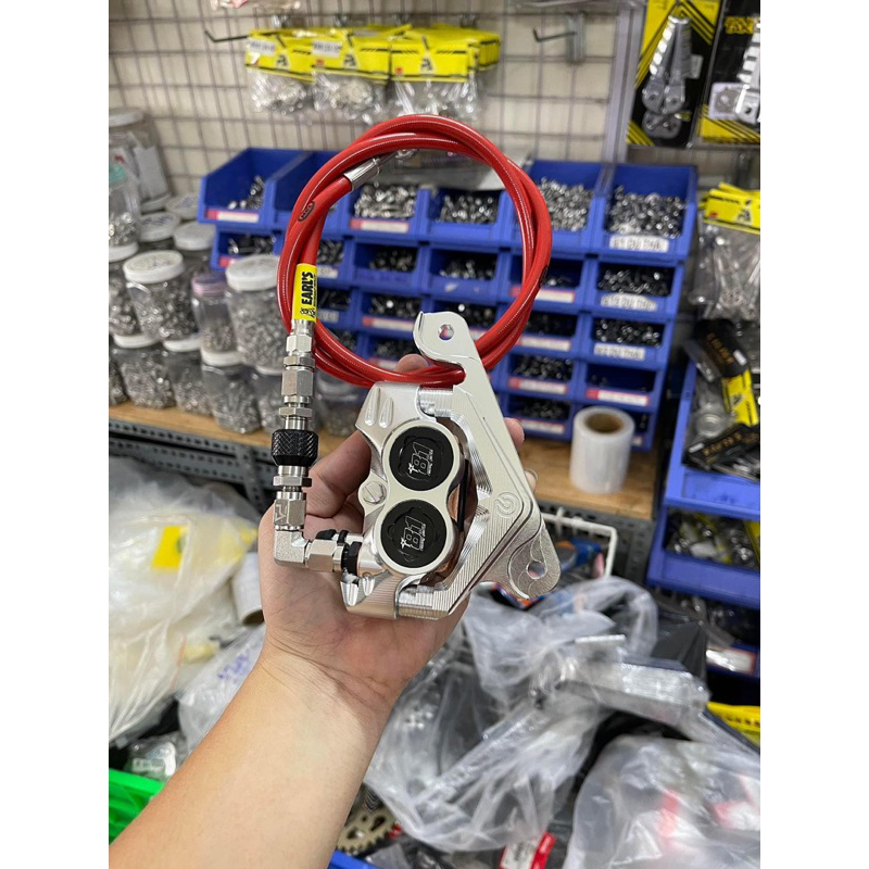 Heo Dầu 81 CNC 4 Piss Thailand