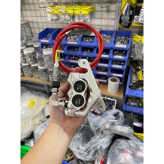 Heo Dầu 81 CNC 4 Piss Thailand