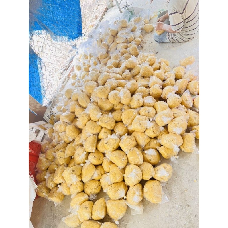 Mồi câu khoai ủ chua, thơn, 1kg khoai ủ chua.chuyên câu mè, chép ,trôi