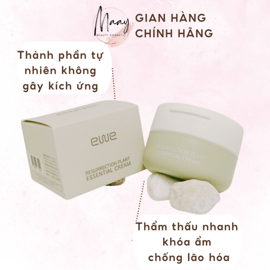 Kem dưỡng da EWE RESURRECTION PLANT ESSENTIAL CREAM YGEC50 50g dưỡng trắng, cấp ẩm giúp da luôn sáng mịn