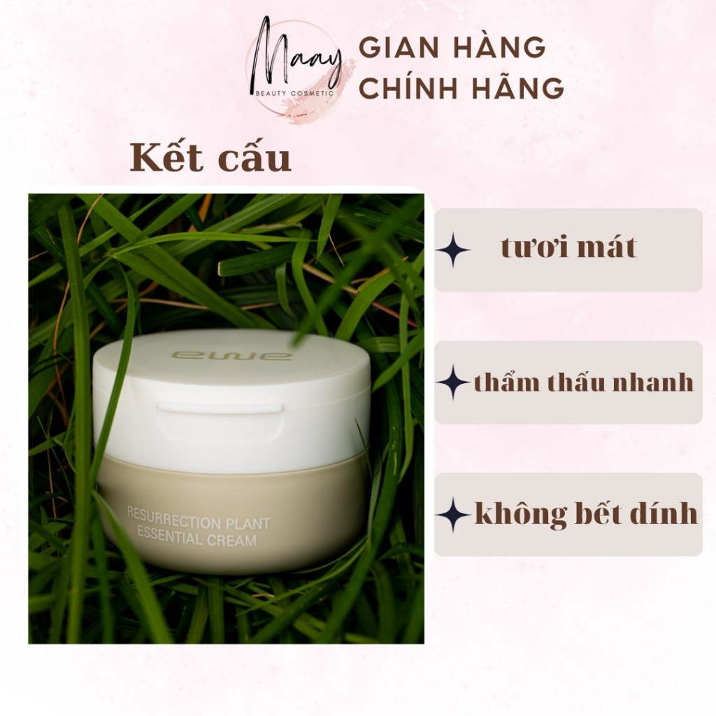 Kem dưỡng da EWE RESURRECTION PLANT ESSENTIAL CREAM YGEC50 50g dưỡng trắng, cấp ẩm giúp da luôn sáng mịn