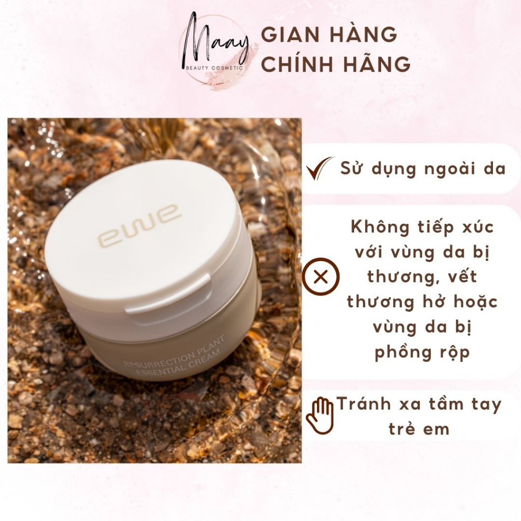 Kem dưỡng da EWE RESURRECTION PLANT ESSENTIAL CREAM YGEC50 50g dưỡng trắng, cấp ẩm giúp da luôn sáng mịn