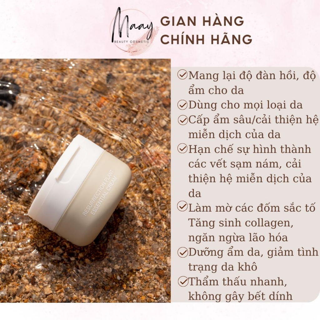 Kem dưỡng da EWE RESURRECTION PLANT ESSENTIAL CREAM YGEC50 50g dưỡng trắng, cấp ẩm giúp da luôn sáng mịn