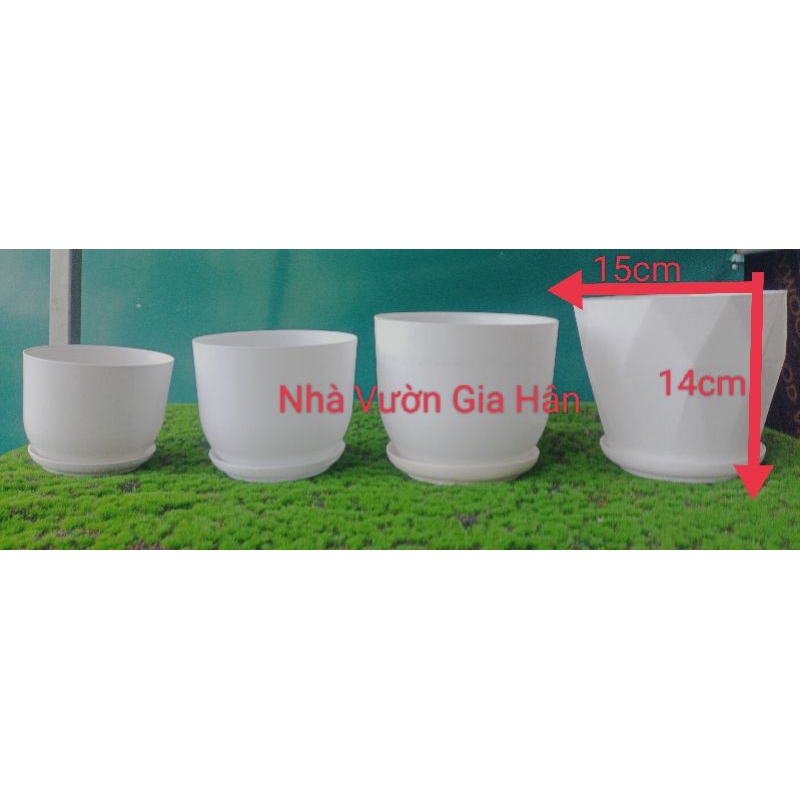 Combo 4 chậu nhựa có đĩa