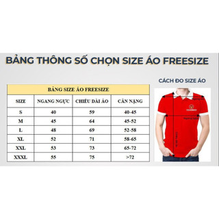 Áo Thun Team Building Mẫu Số 13