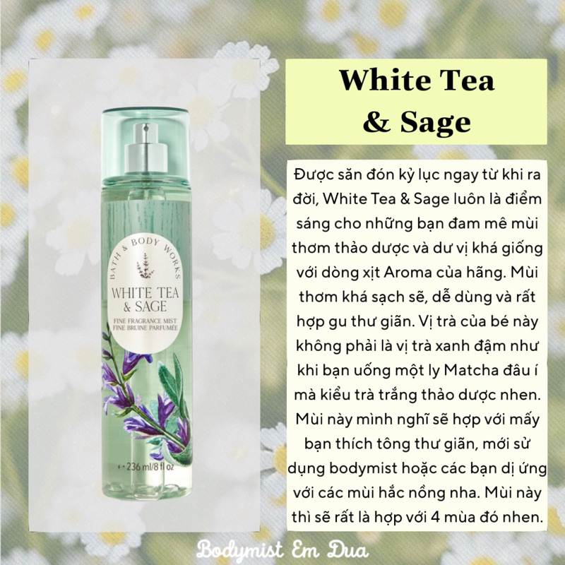 Xịt Thơm Toàn Thân – WHITE TEA & SAGE