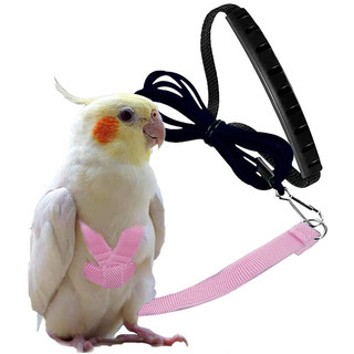 Harness dây bay cho vẹt