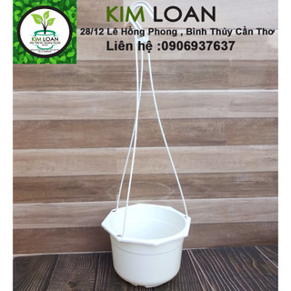 Combo 5 chậu nhựa treo 21x16cm (kèm dây)