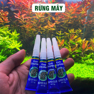 Keo dán rêu Dán lũa| Terrarium dán cây thuỷ sinh