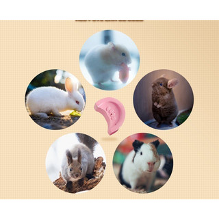 mài răng dành cho hamster, nhím, sóc