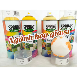 sơn xịt hoa Hà lan