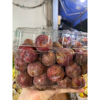 Mận Hậu Miền Bắc ( Mận Hà Nội )