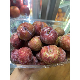Mận Hậu Miền Bắc ( Mận Hà Nội )