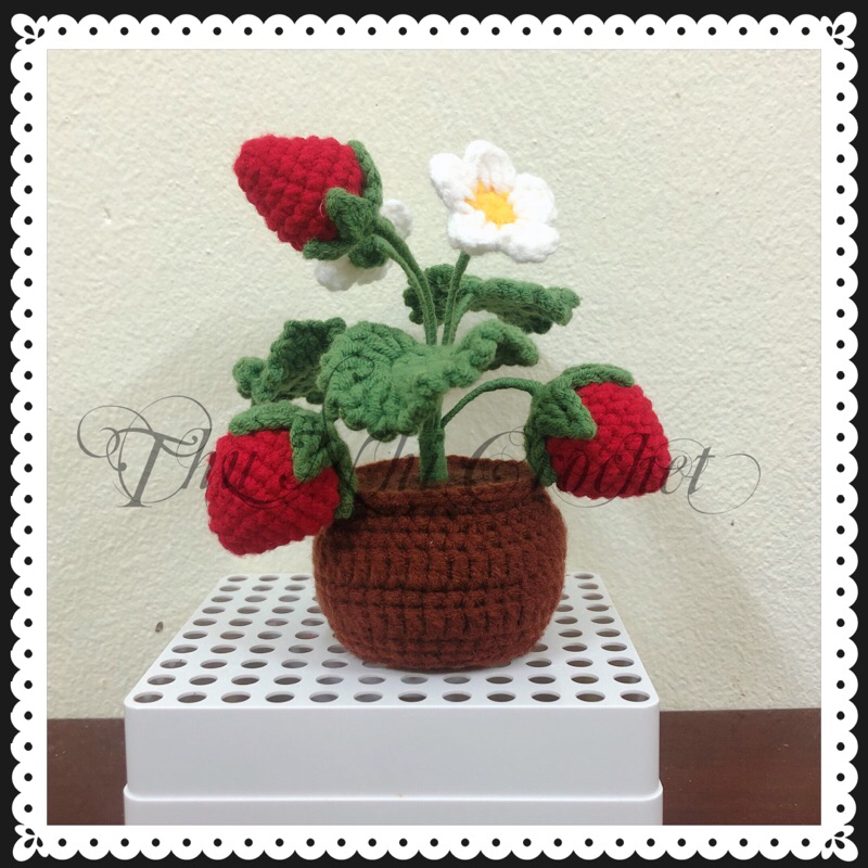 Chậu Dây Tây mini bằng len handmade , dùng để trang trí , làm quà tặng