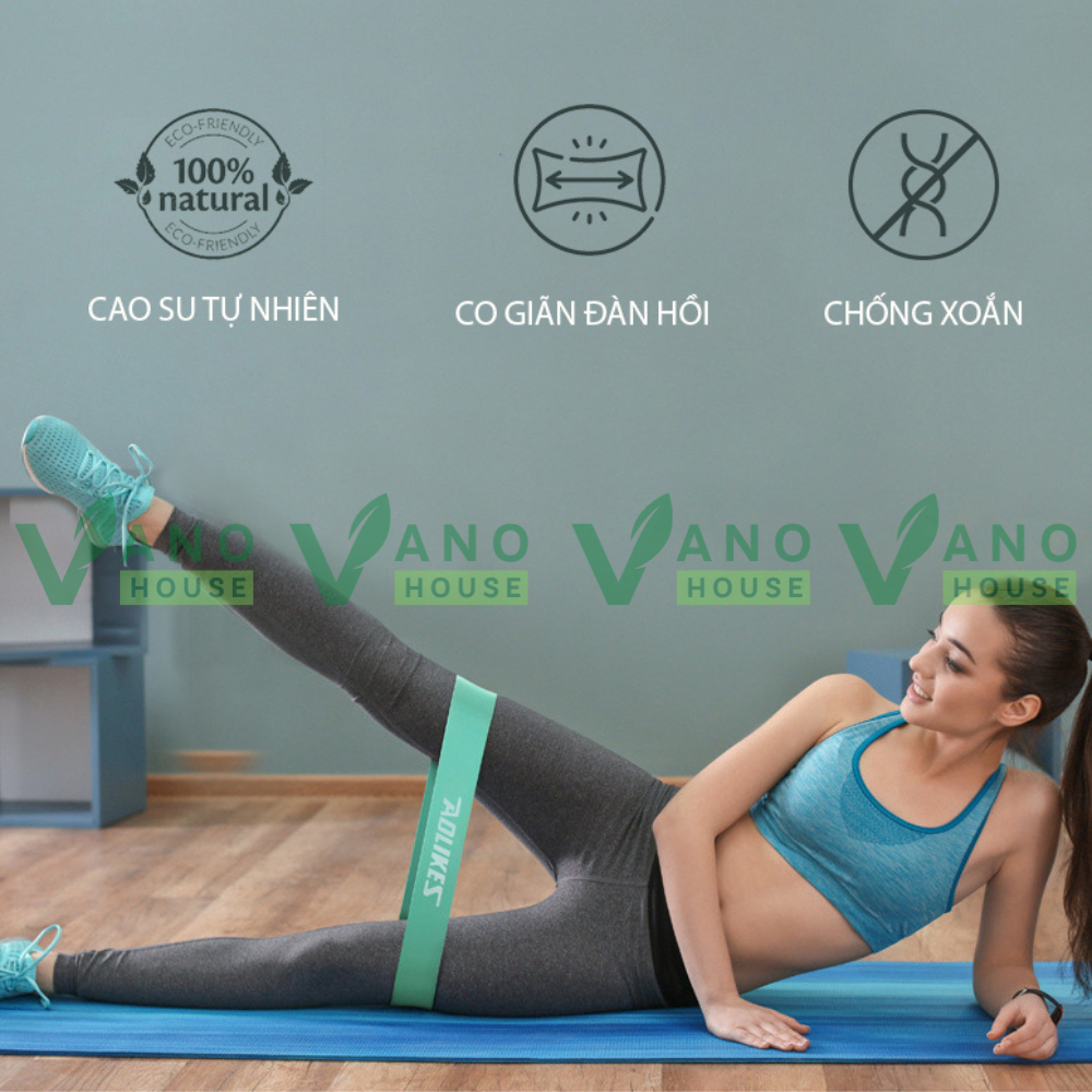 Dây Miniband Aolikes Kháng Lực Tập Gym Tập Chân Mông Tay Đùi Cao Su Đàn Hồi Nam Nữ AL3601