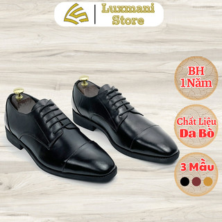 Giày tây nam da bò, làm thủ công bảo hành 1 năm - T09