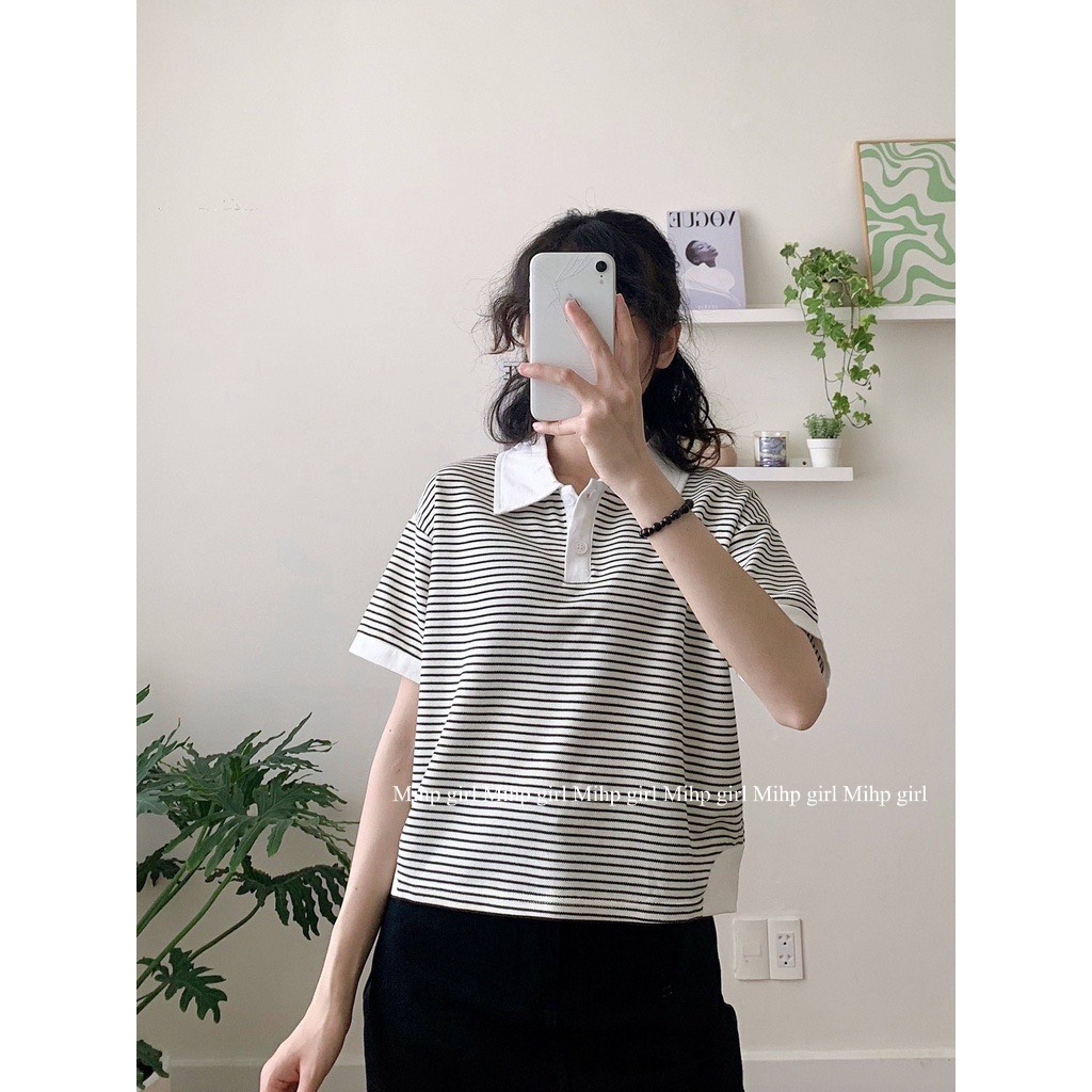 Áo polo Ngắn Tay Họa Tiết Kẻ Sọc Phong Cách Hàn Quốc