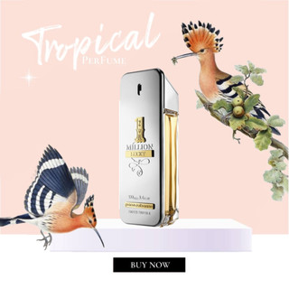 Nước hoa Paco Rabane One Million Lucky ®️