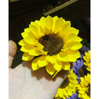 Hướng dương size 12cm hoa tốt nghiệp