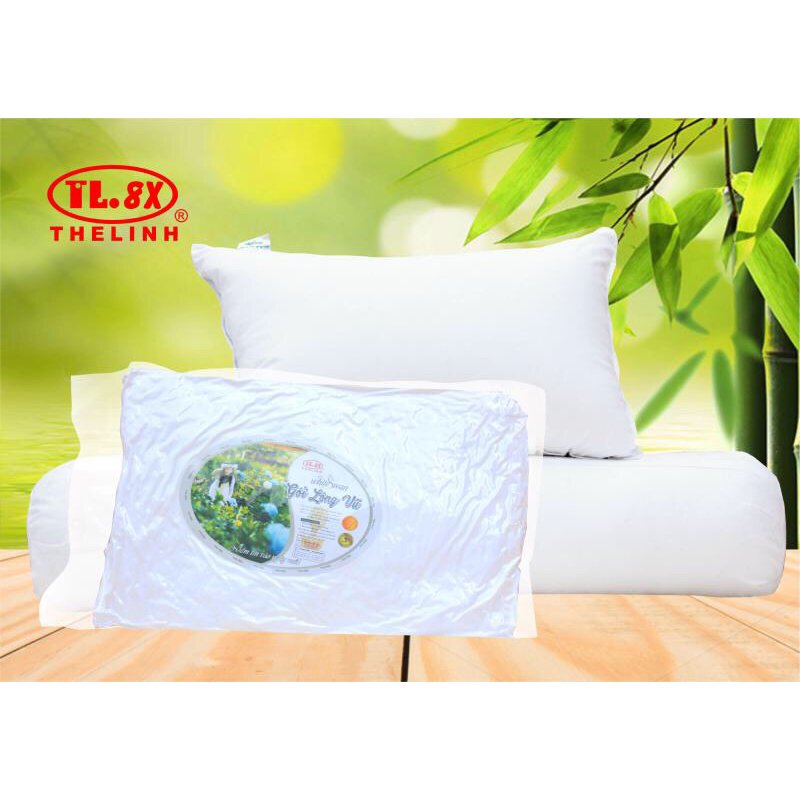 Ruột gối tơ tằm Thế Linh(size 5x7)