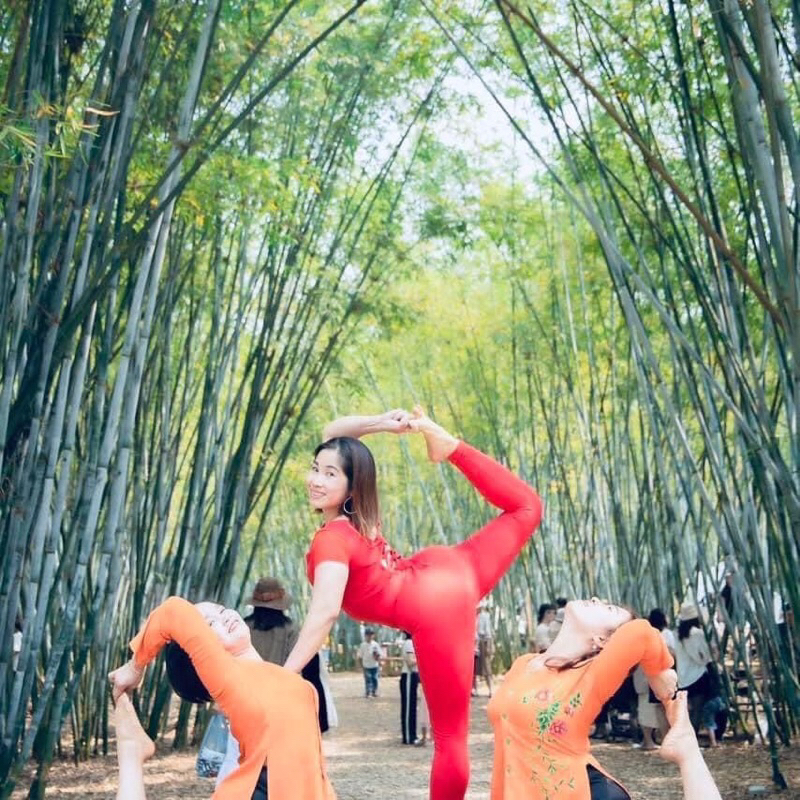 Set đồ tập yoga, gym liền thân Jum yoga tay con phối lưới Louis