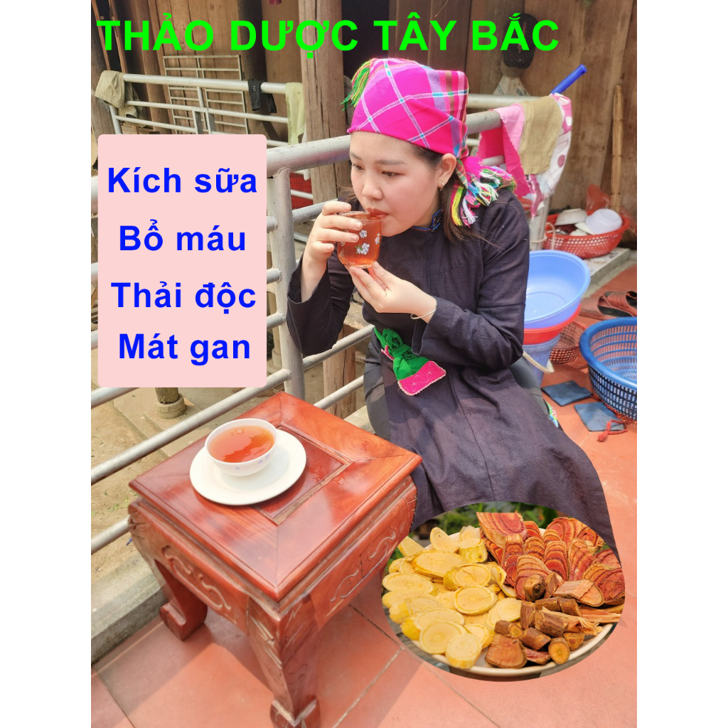 Cây lợi sữa, Thảo mộc lợi sữa, cây nhiều sữa, cây gọi sữa, cây tiết sữa