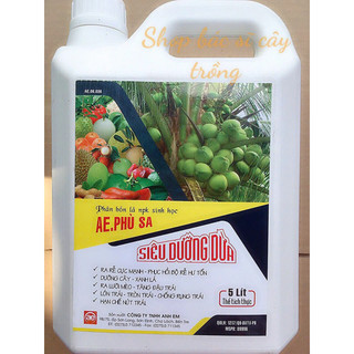 Can 5 lít tưới gốc cây dừa phục hồi bộ rễ nhanh, xanh lá ra lưỡi mèo, đậu trái lớn trái, chống rụng trái và nứt trái