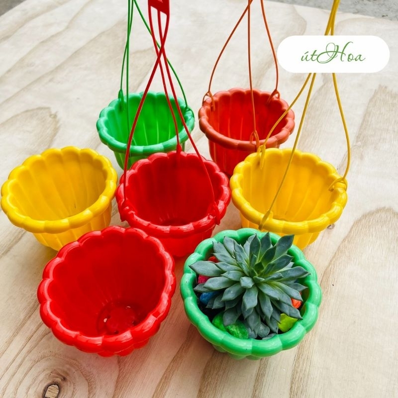 Combo 10 chậu nhựa vuông mini kèm dây treo, chậu trồng sen đá xương rồng