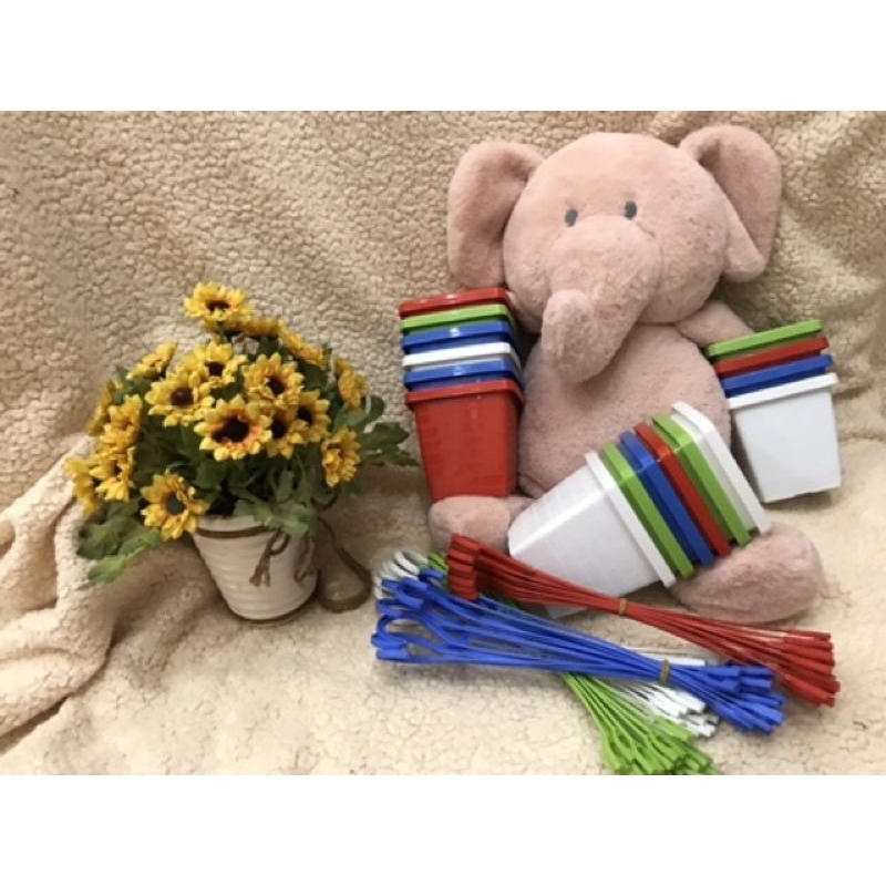 Combo 10 chậu nhựa vuông mini kèm dây treo, chậu trồng sen đá xương rồng