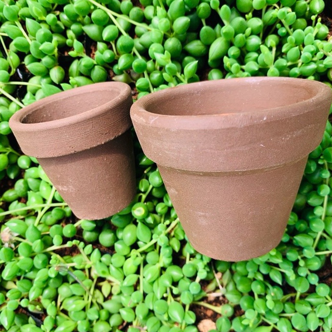 Chậu đất nung đen SONDA Garden, chậu trồng sen đá, chậu trồng cây siêu đẹp, lỗi 1 đổi 1