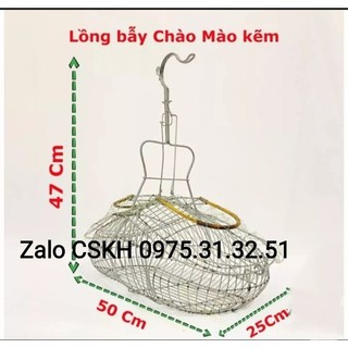 Lồng bẫy chào mào choè mi khướu