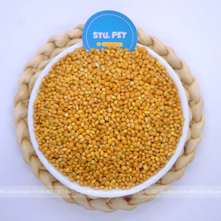 Hạt Kê thức ăn cho Hamster, vẹt, sóc bay, thỏ…100g
