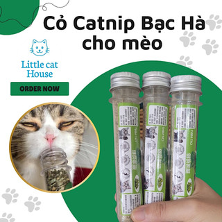 Cỏ mèo, cỏ catnip bạc hà dạng ống 45ml