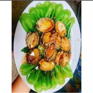 500gr bào ngư hàn quốc size 8-10 con ship hỏa tốc 1h hà nội
