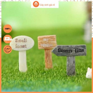Bảng hiệu vườn Phụ kiện trang trí tiểu cảnh, Phụ kiện terrarium