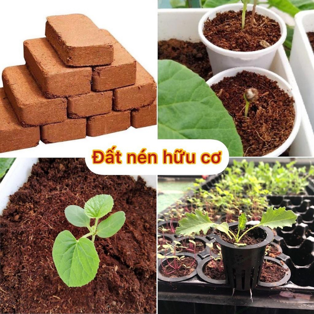 Mua 5 tặng 1,Viên nén  xơ dừa bánh lớn KT 10x6x20cm, chuyên trồng rau,trộn đất trồng cây,kl 500-650gr